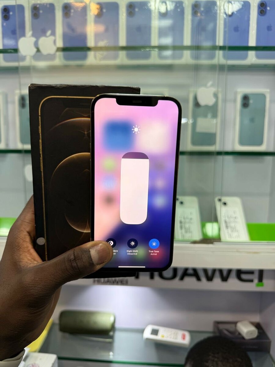 iPhone 12 Pro Max 128go quasi neuf avec son carton