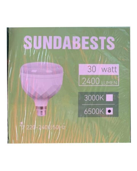 Ampoule LED 30W Sundabests