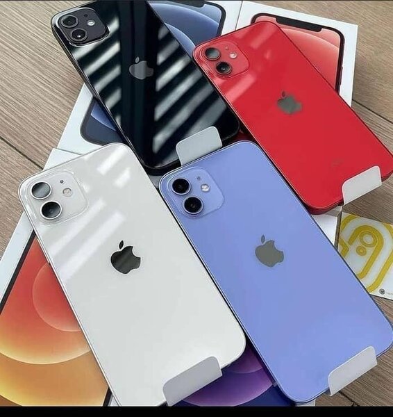 iPhone 11 - Couleurs Variées