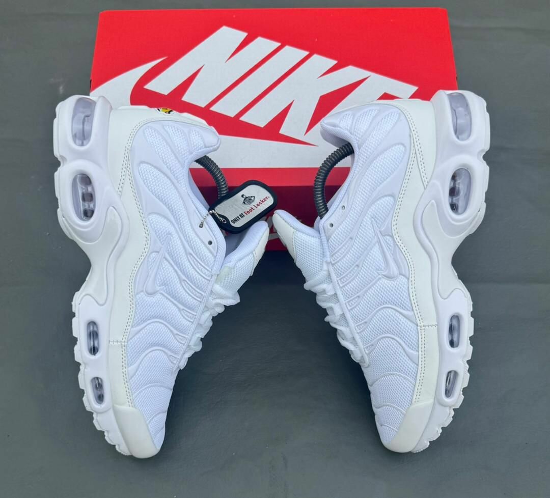 Nike Air Max TN Blanc