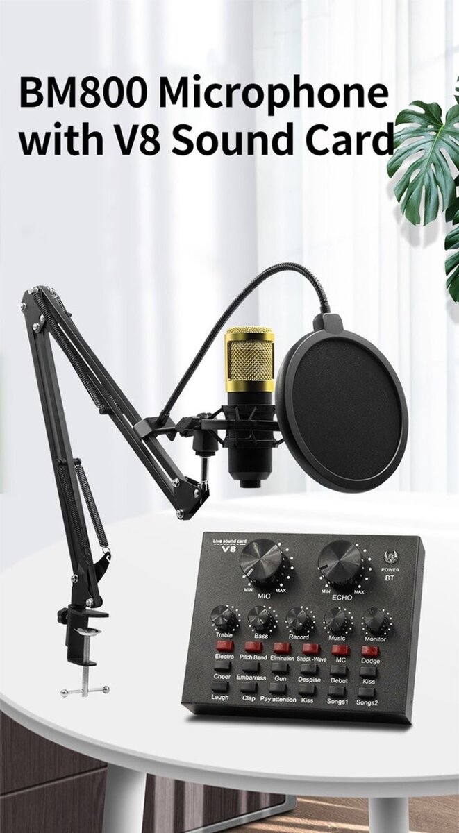 Studio and podcast mic