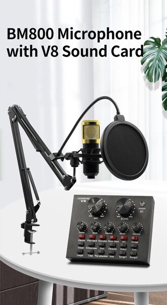 Studio and podcast mic