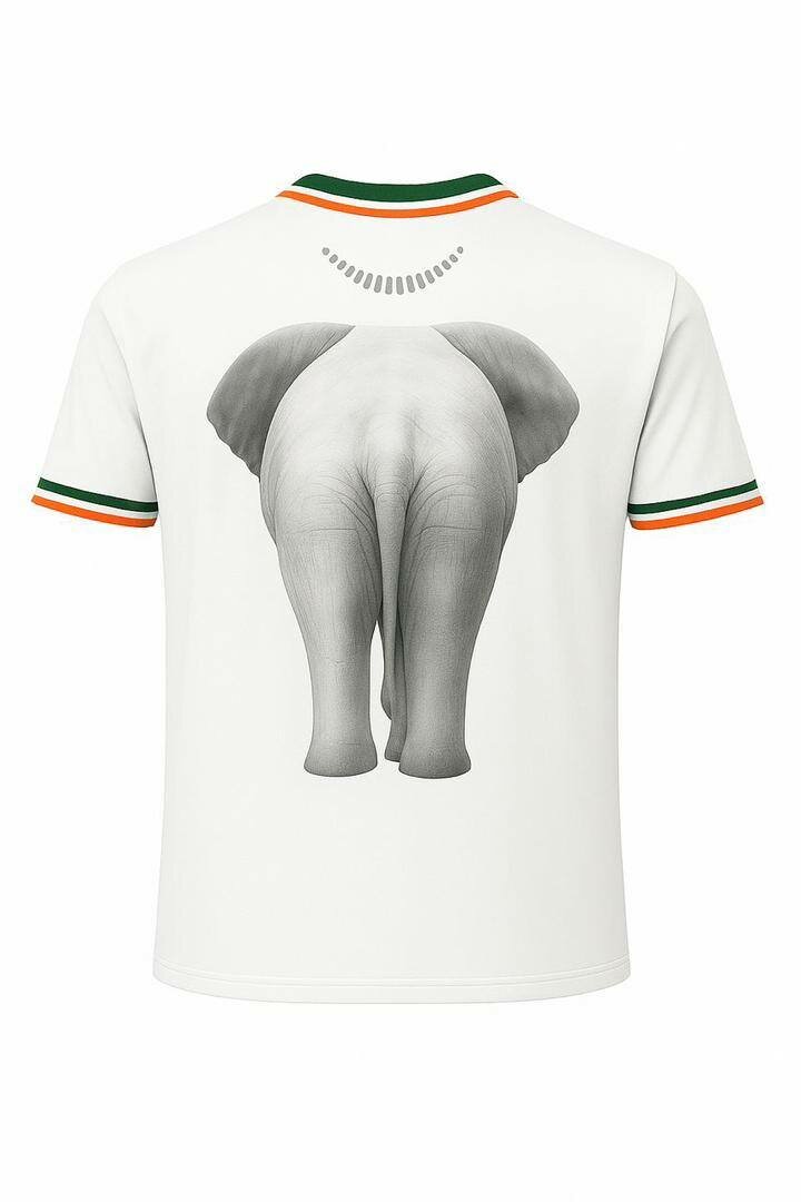 Maillot Éléphant Côte d'Ivoire