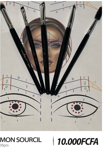 Pinceaux Sourcils Professionnels