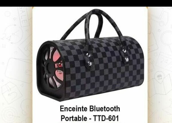 Enceinte Bluetooth Portable Stylée