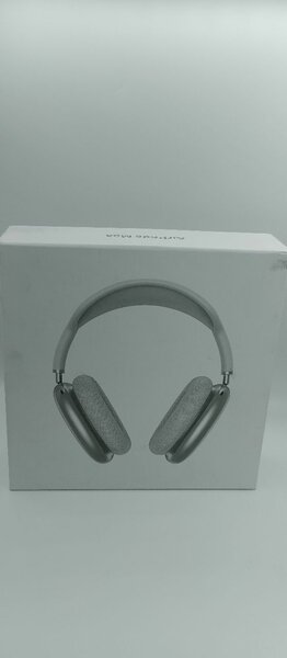 Apple Headphone