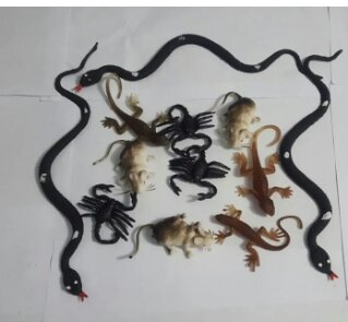Pack Of 12- Kids Cockroach, Lizard, snake, rabit, mouse, frog & hargali - Rubber