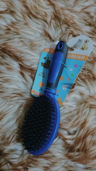 Brosse pour animaux ergonomique