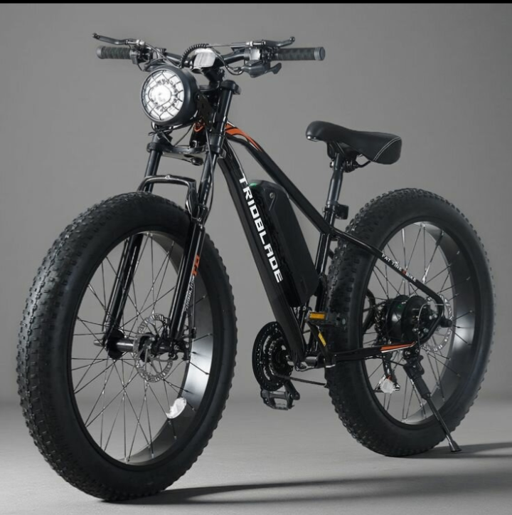 Vélo électrique tout-terrain