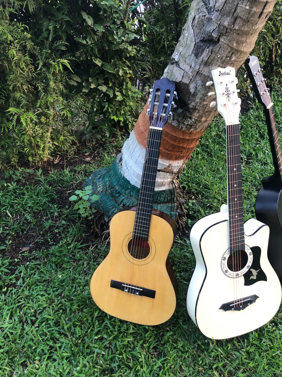 Guitare acoustique élégante