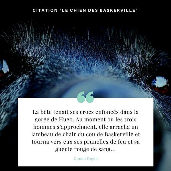 Le Chien des Baskerville