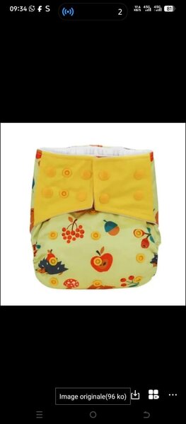 Couche lavable fruit + insert