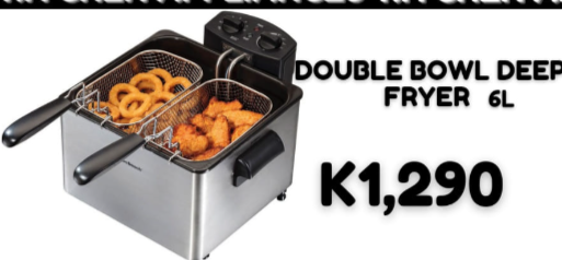 Double bowl deep fryer 