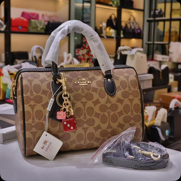 Sac à main Coach luxe