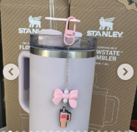 Stanley Cup Accessories