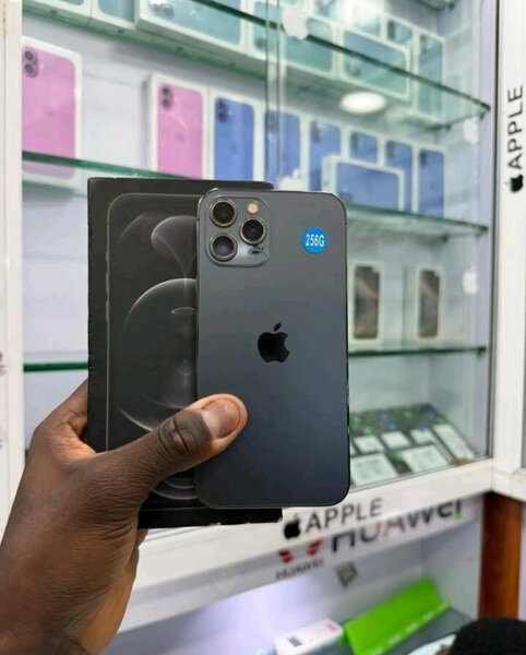 Smartphone Apple 256 Go