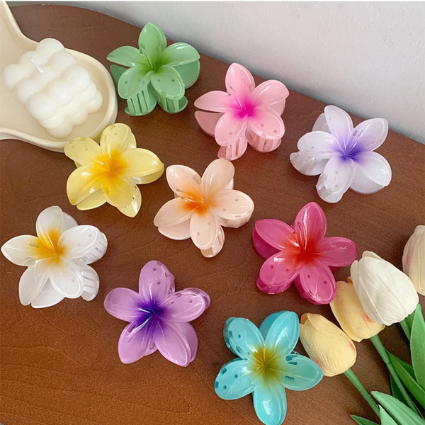Pinces à cheveux fleurs colorées