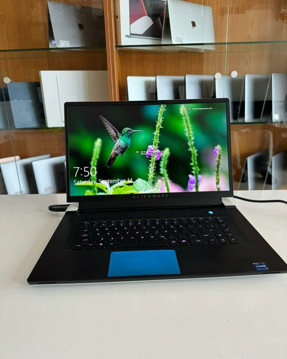 DELL ALIENWARE X17 R1