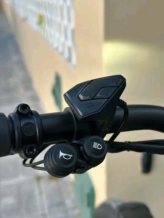 Vélo Électrique Tout-Terrain Puissant