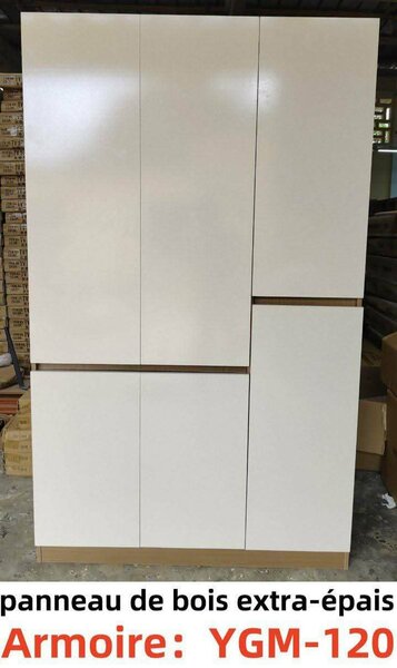Armoire placard en bois rangem