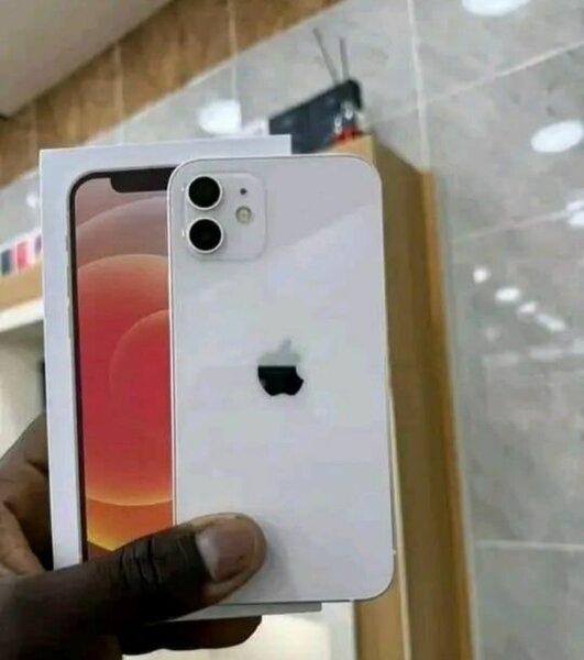 Apple iPhone 12 - Téléphone portable