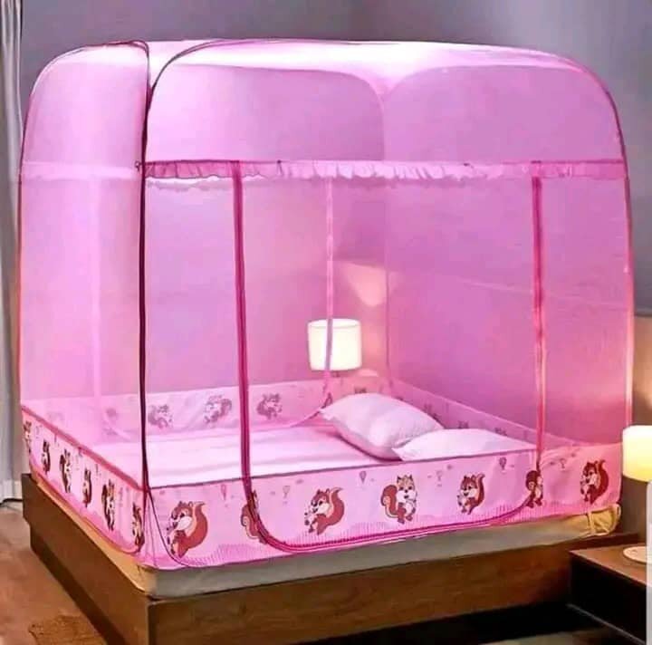 Beautiful translucent canopy for a bed pink