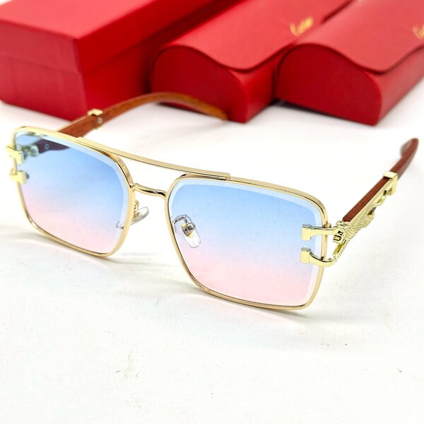 Luxury unisex shades