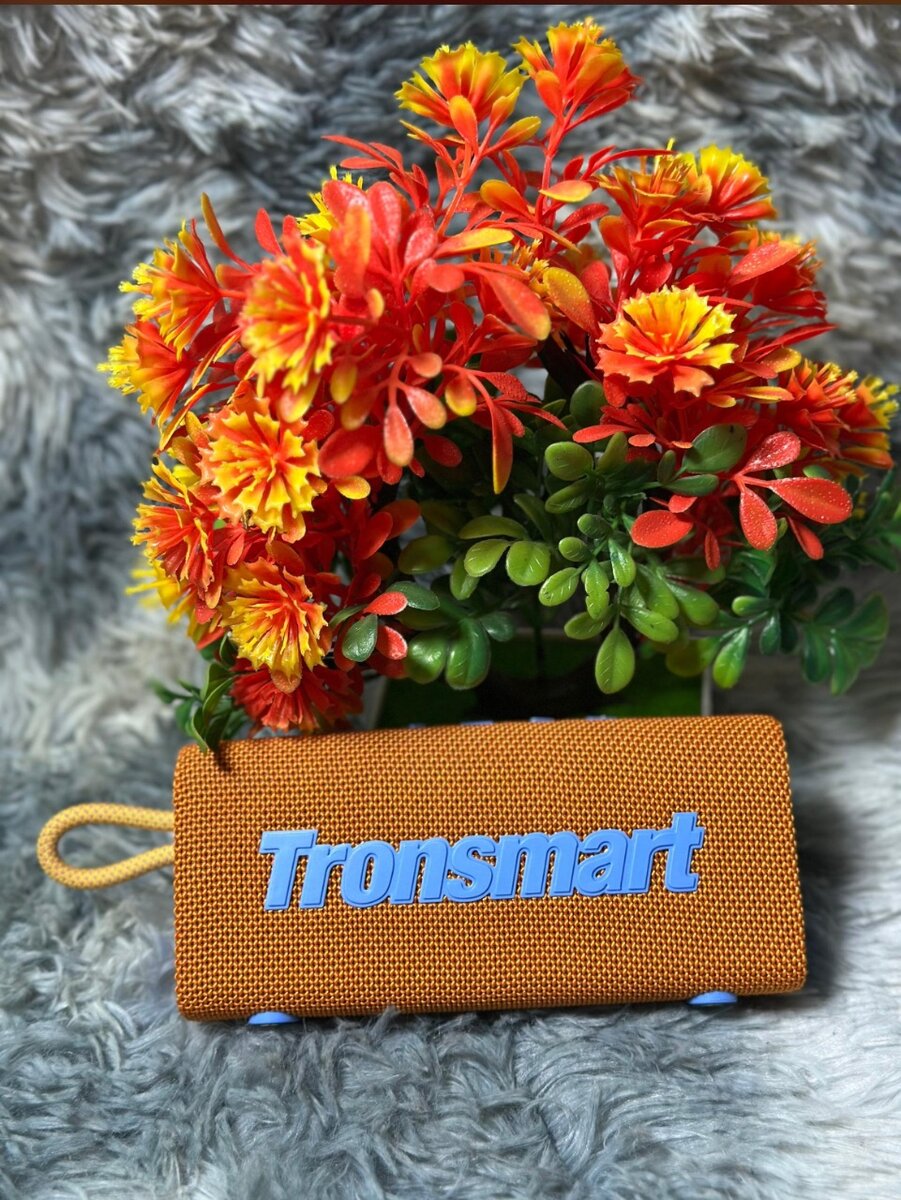 Enceinte Bluetooth Portable Tronsmart
