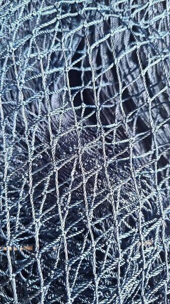 Filet de rangement élastique