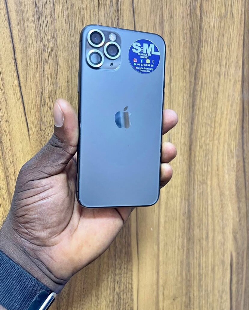 iPhone 12 Pro Max 256GB