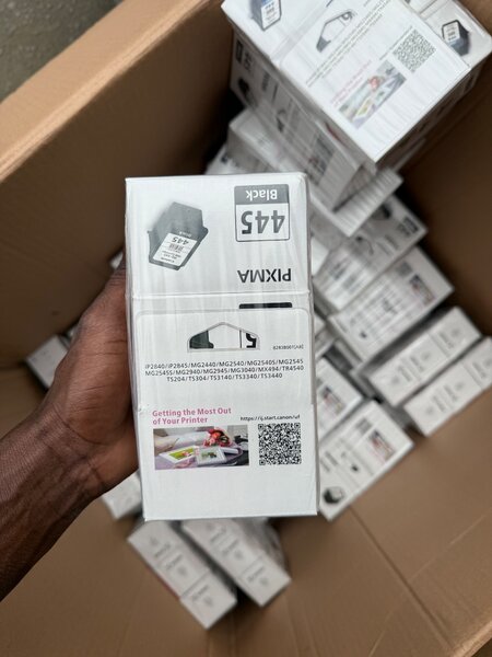 Cartouches d'encre PIXMA 446 & 445