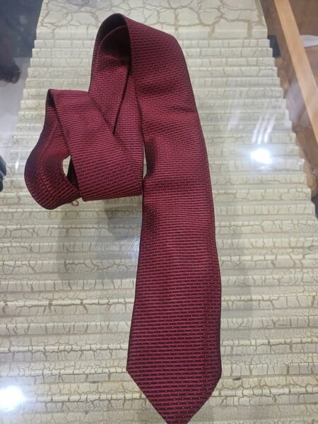 Cravates élégantes en soie