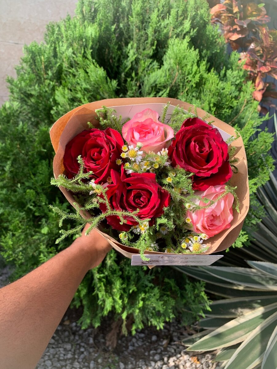 Bouquet de 5 roses