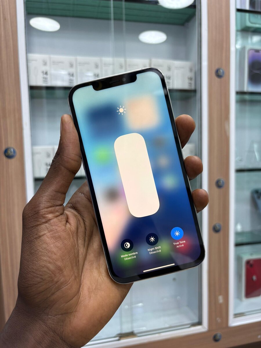 iPhone 12 Pro Max Blanc