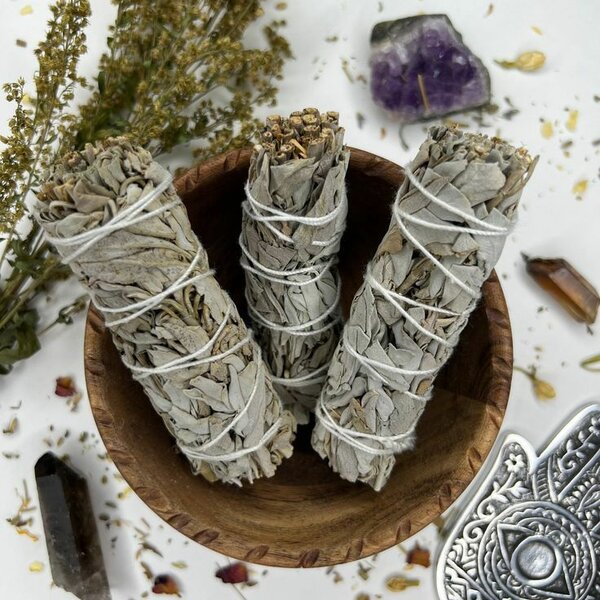 White sage Herb