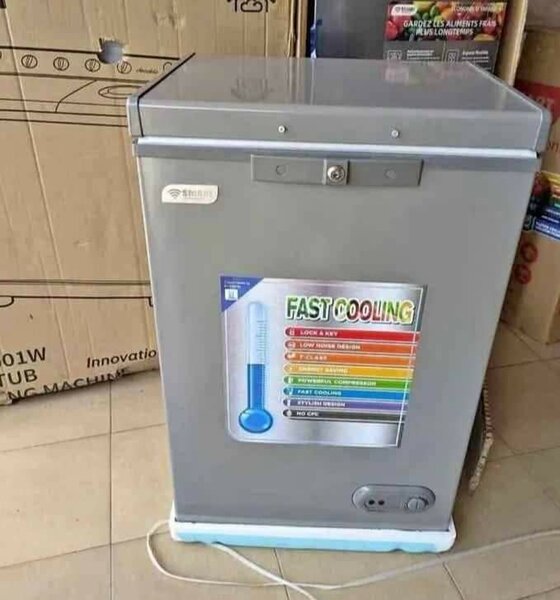 Mini réfrigérateur compact et efficace