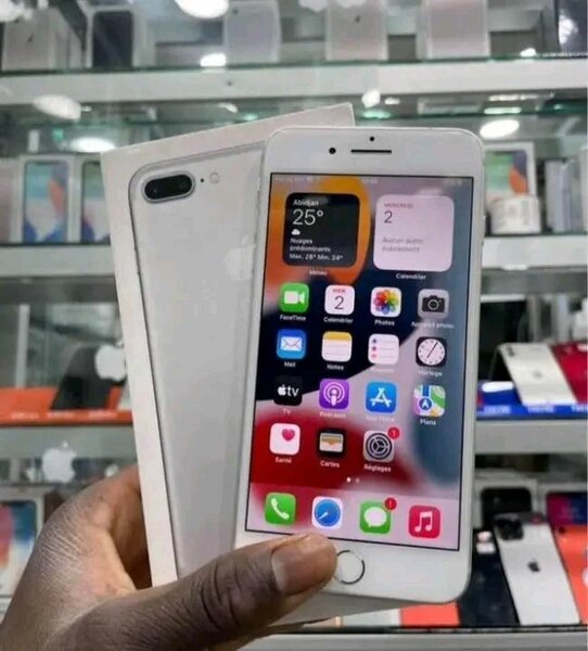 iPhone Gris Argent 256GB
