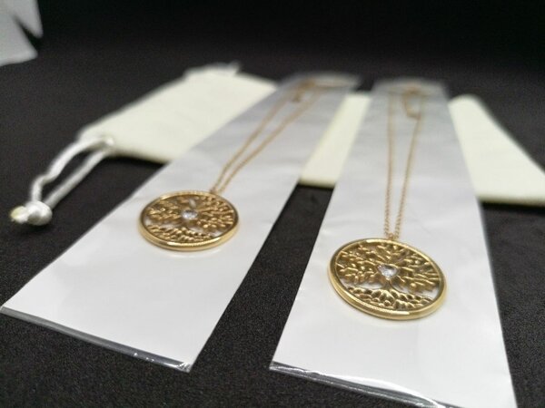 Inoxydable | hypoallergénique