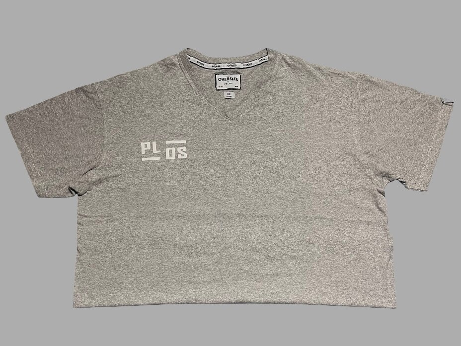 T-Shirt Oversize Gris Unisexe