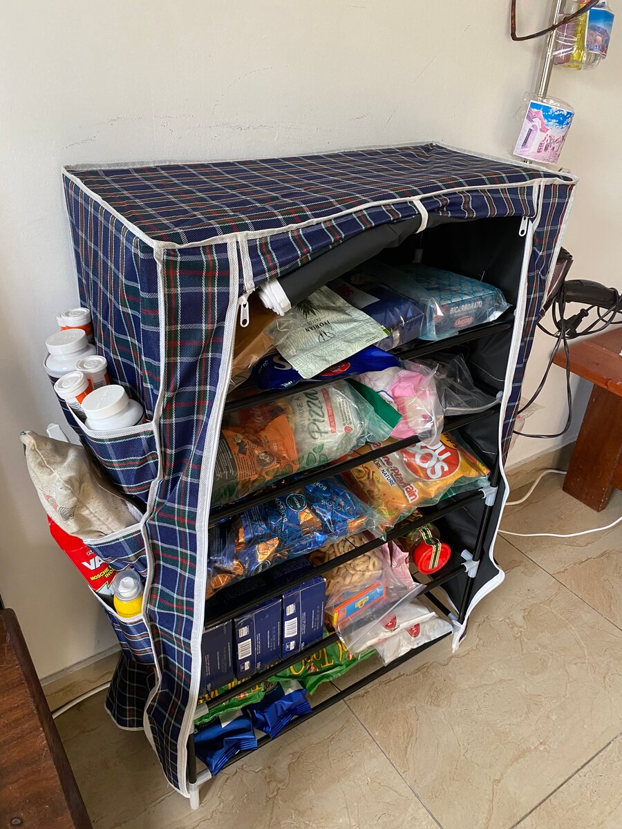 Foldable Storage Organizer