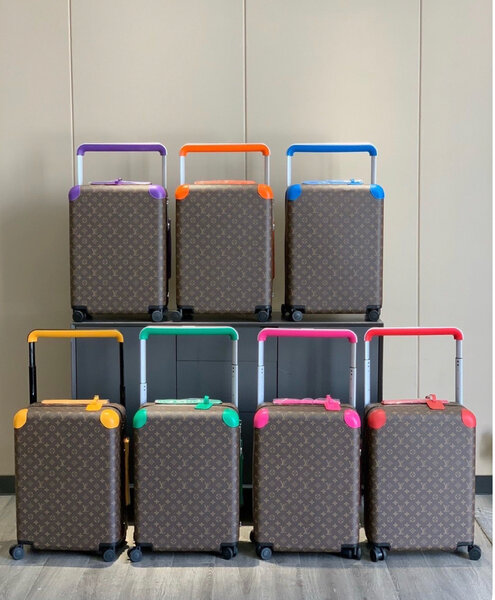 Valises élégantes multicolores