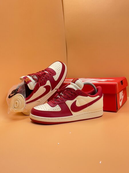 NIKE TEMINATOR