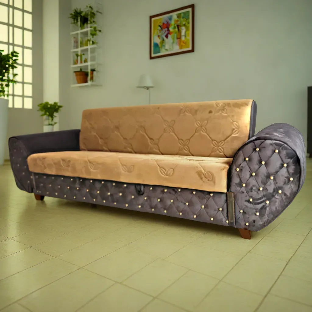 Designer Sofa Cum Beds