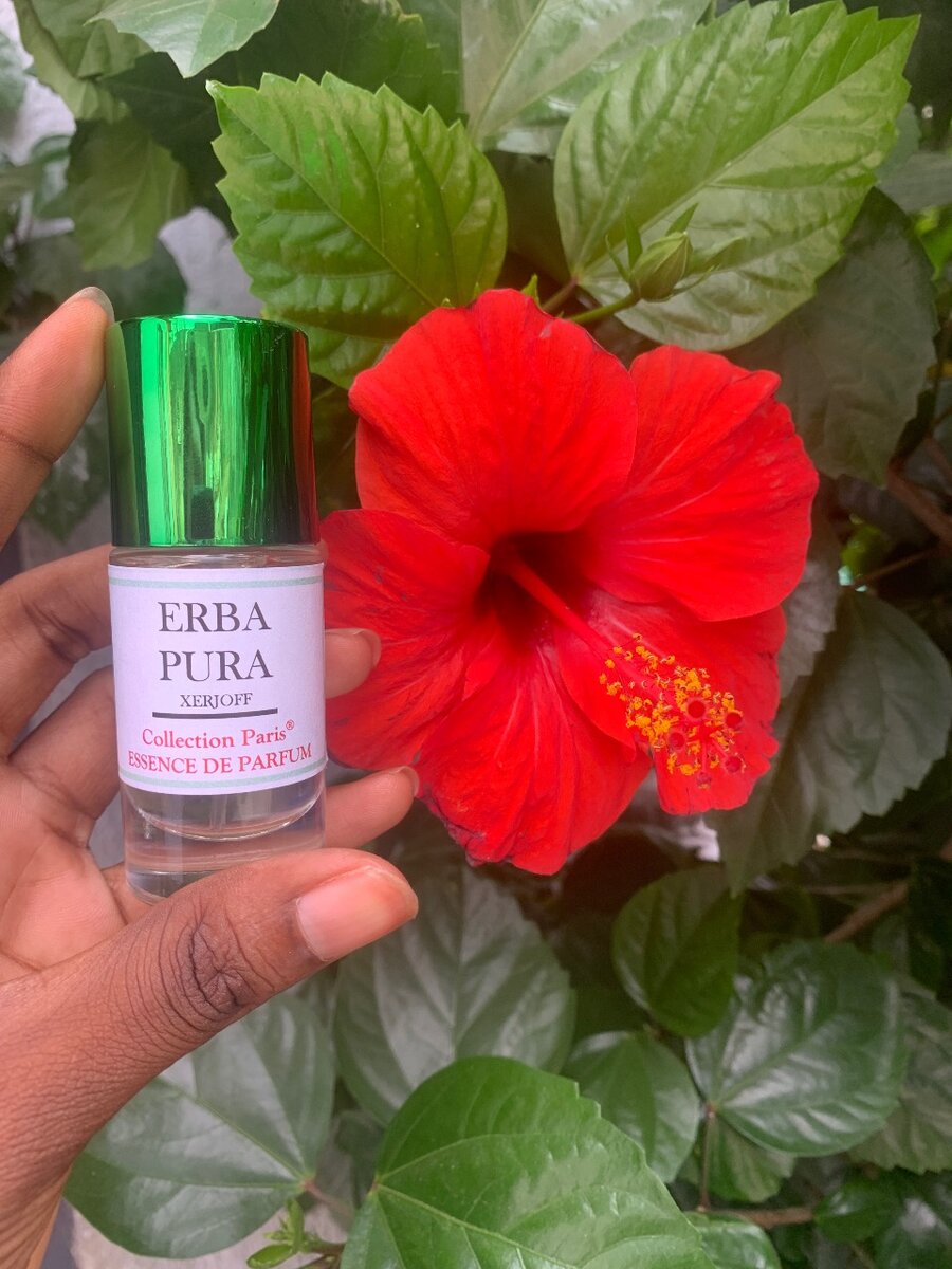 Essence Xerjoff Erba Pura