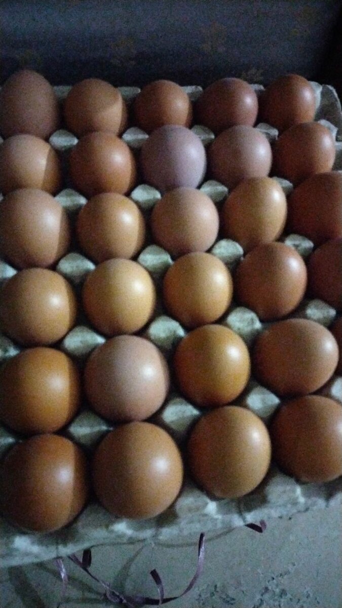 Pure Desi Eggs