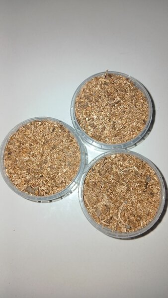 Encens en Résine Naturelle