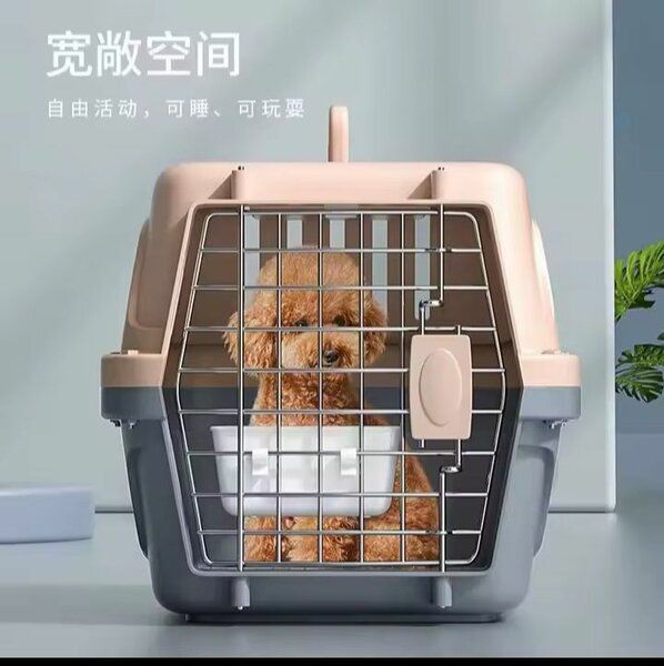 Cages de transport pour animau