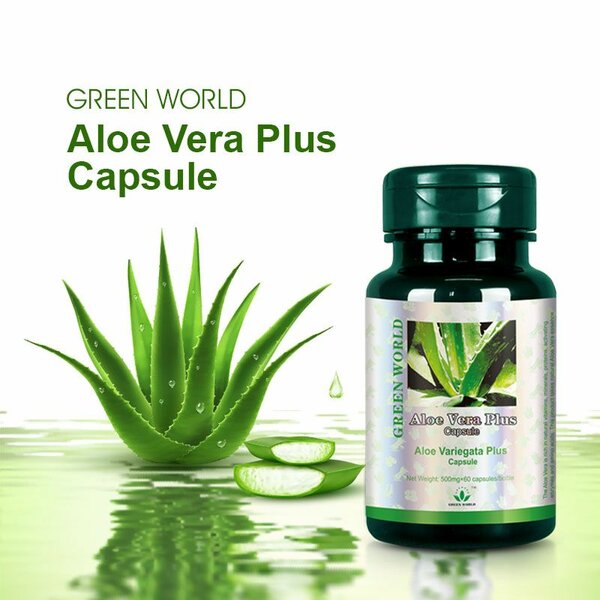 Aloe Vera Plus