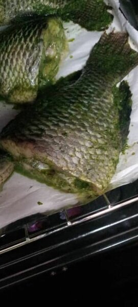 Délicieux porc au four