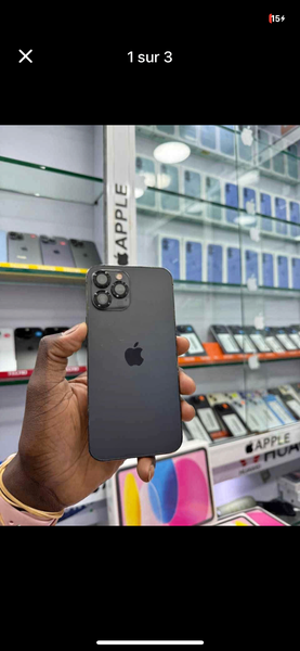 iPhone Pro Max Noir 256Go